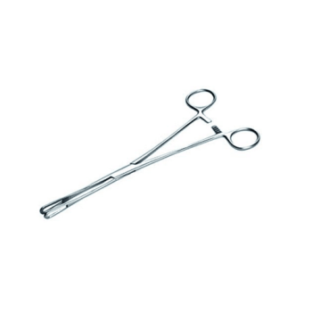 TPC - 95874 - Forcep Rampley Sponge Holder 25cm